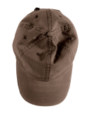 Authentic Pigment 1912 Direct-Dyed Dad Hat in Java