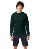 CC8C Champion Logo Long-Sleeve Tagless Tee in Dark green