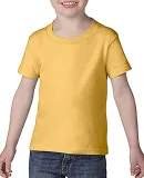 Gildan 64500P Softstyle Toddler Tee  DAISY