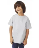 Champion T435 Youth Short Sleeve Tagless T-Shirt in Light steel