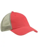 Big Accessories BA601 Washed Trucker Cap in Cosmo/ gray