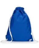 Liberty Bags 8895 Jersey Mesh Drawstring Backpack ROYAL