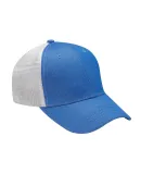 Knockout Cap in Elec blu/ wht