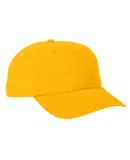 Big Accessories BA610 Heavy Washed Canvas Cap in Mustard