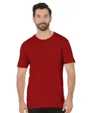 Bayside Apparel 9500 Unisex 4.2 oz., 100% Cotton F in Cardinal