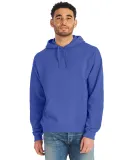 Hanes GDH450 Unisex Pullover Hooded Sweatshirt in Deep forte