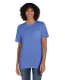 Hanes GDH150 Unisex Garment-Dyed T-Shirt with Pock in Deep forte