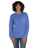 Hanes GDH250 Unisex Garment-Dyed Long-Sleeve T-Shi in Deep forte