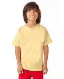 Hanes GDH175 Youth Garment-Dyed T-Shirt in Summer squash