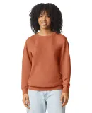 Comfort Colors 1466 Unisex Lighweight Cotton Crewn in Yam