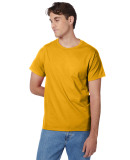 5250 Hanes Authentic Tagless T-shirt in Gold