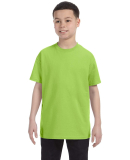 29B Jerzees Youth Heavyweight 50/50 Blend T-Shirt in Neon green