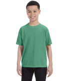 9018 Comfort Colors - Pigment-Dyed Ringspun Youth  in Island green