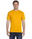 G800 Gildan Ultra Blend 50/50 T-shirt in Gold