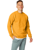 P160 Hanes® PrintPro®XP™ Comfortblend® Sweats in Gold