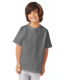 5450 Hanes Authentic Tagless Youth T-shirt in Smoke gray