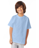 5450 Hanes Authentic Tagless Youth T-shirt in Light blue