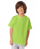 5450 Hanes Authentic Tagless Youth T-shirt in Lime