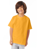 5450 Hanes Authentic Tagless Youth T-shirt in Gold