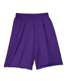 N5283 A4 Adult 9 in Purple