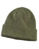 BX031 Big Accessories Watch Cap in Olive