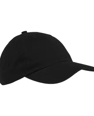 Big Accessories BX001Y Youth Youth 6-Panel Brushed in Black