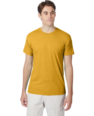 Hanes 42TB X-Temp Triblend T-Shirt with Fresh IQ o in Gold heather