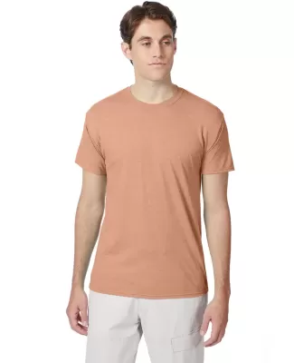 Hanes 42TB X-Temp Triblend T-Shirt with Fresh IQ o in Cantaloupe hthr