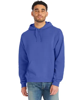 Hanes GDH450 Unisex Pullover Hooded Sweatshirt in Deep forte