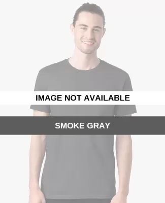 Hanes 498PT Unisex Perfect-T PreTreat T-Shirt SMOKE GRAY