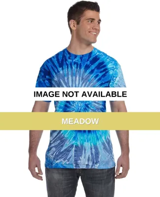 H1000 Tie-Dyes Adult Tie-Dyed Cotton Tee MEADOW