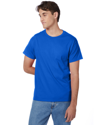 5250 Hanes Authentic Tagless T-shirt in Deep royal