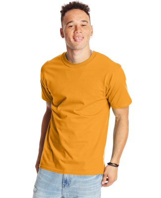 5180 Hanes Beefy-T in Gold