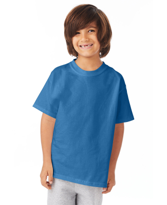 5450 Hanes Authentic Tagless Youth T-shirt in Denim blue