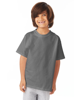 5450 Hanes Authentic Tagless Youth T-shirt in Smoke gray