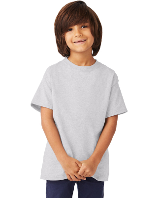 5450 Hanes Authentic Tagless Youth T-shirt in Ash