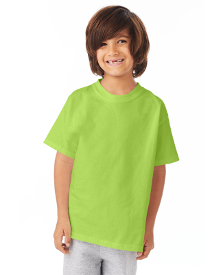 5450 Hanes Authentic Tagless Youth T-shirt in Lime