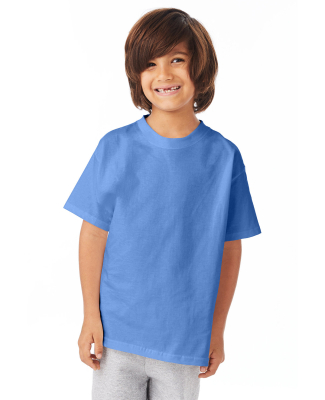 5450 Hanes Authentic Tagless Youth T-shirt in Carolina blue