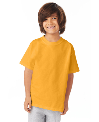 5450 Hanes Authentic Tagless Youth T-shirt in Gold