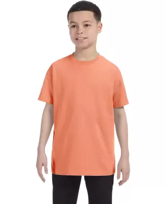 5450 Hanes® Authentic Tagless Youth T-shirt in Candy orange