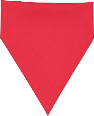 3905 Doggie Skins Bandana in Red