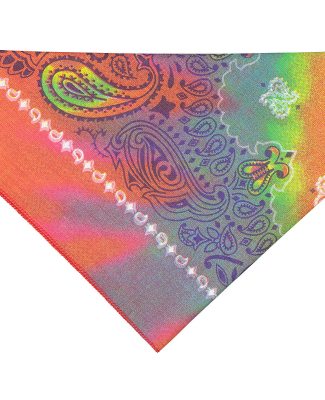 3905 Doggie Skins Bandana in Tye dye paisley