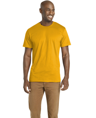 6901 LA T Adult Fine Jersey T-Shirt in Gold