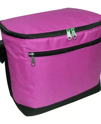 1695 Liberty Bags - Joseph Twelve-Pack Cooler HOT PINK