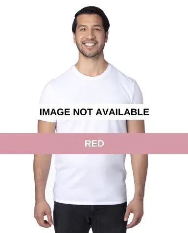 Threadfast Apparel 100A Unisex Ultimate T-Shirt RED front view