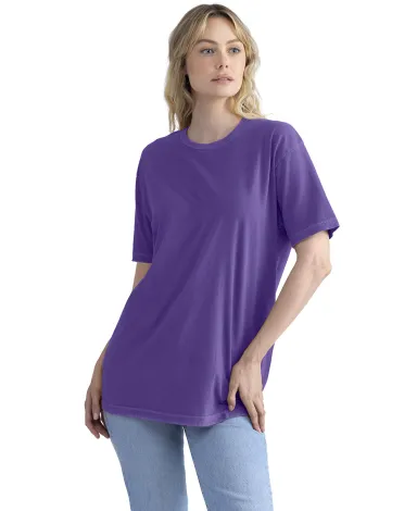 Next Level Apparel 3600SW Unisex Soft Wash T-Shirt in Wsh purple rush front view