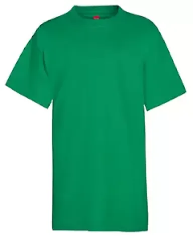 5450 Hanes® Authentic Tagless Youth T-shirt in Kelly front view