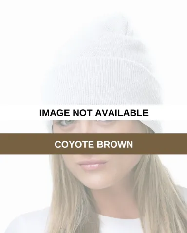 3825 Bayside Knit Cuff Beanie COYOTE BROWN front view