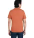 4980 Hanes 4.5 ounce Ring-Spun T-shirt in Pumpkin heather back view