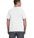 980 Anvil Combed Ring Spun Cotton T-Shirt in White back view